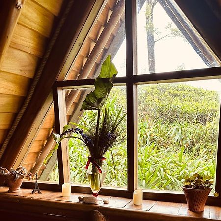 Villa 47 Nuwaraeliya นูวาราเอลิยา ภายนอก รูปภาพ