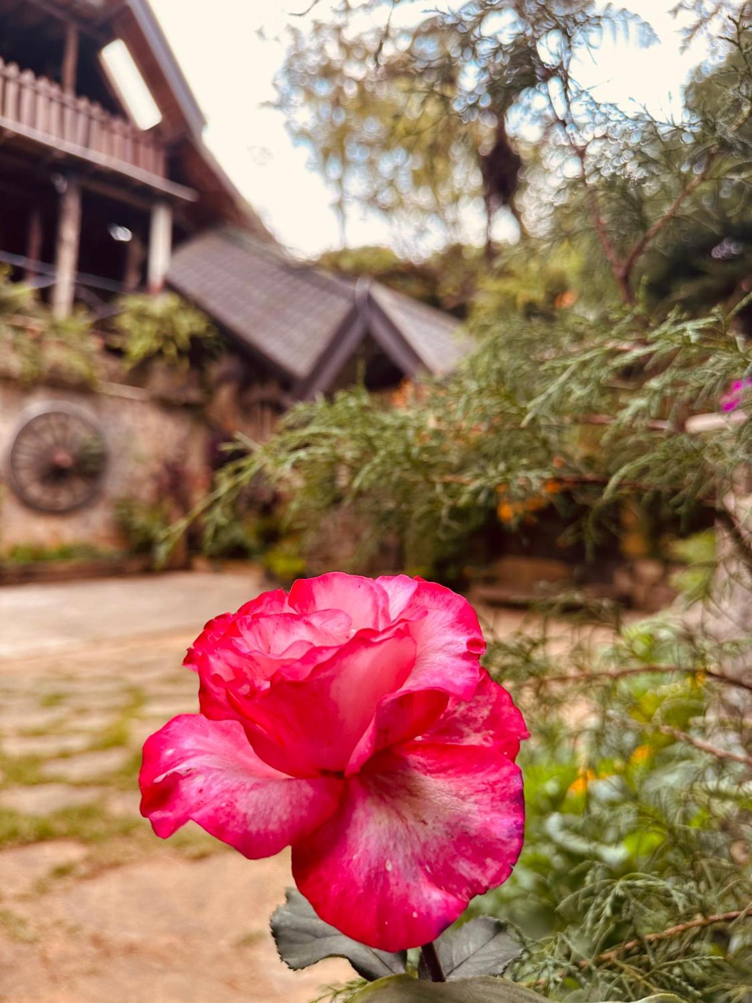 Villa 47 Nuwaraeliya นูวาราเอลิยา ภายนอก รูปภาพ