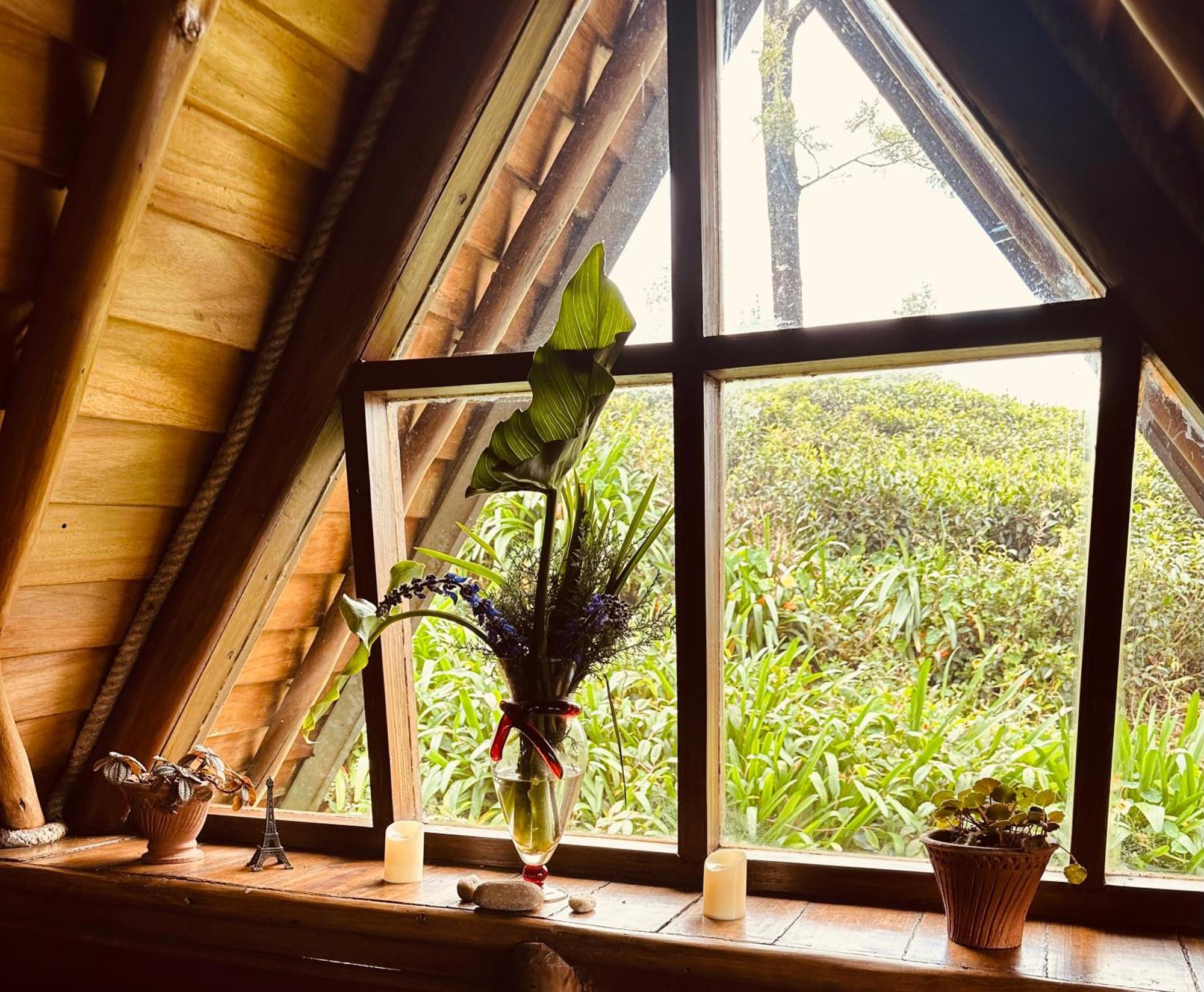 Villa 47 Nuwaraeliya นูวาราเอลิยา ภายนอก รูปภาพ